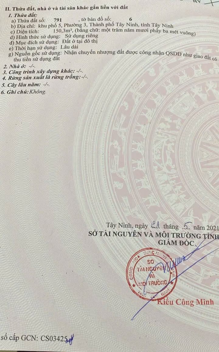 Nhà phố mặt tiền đường Nguyễn Văn Thắng, phường 3, Tây Ninh 150m² - Đầu tư sinh lời ngay!