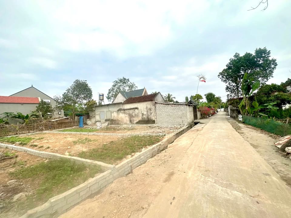 Đất thổ cư Thái Hòa, Triệu Sơn 100m² giá 4xx - Đầu tư cực tốt!