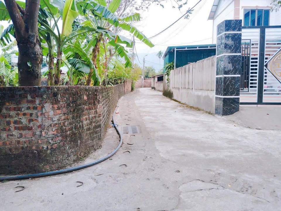 Đất nền Hợp Châu, Tam Đảo 109m² giá 1.1 tỷ - Ô góc 2 mặt tiền, tiềm năng đầu tư lớn!