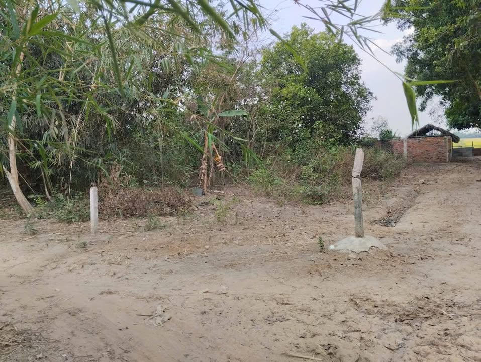 Đất hai mặt tiền Đường KP Hòa Lợi, Trảng Bàng 145m² giá 550 triệu - Thương lượng ngay!