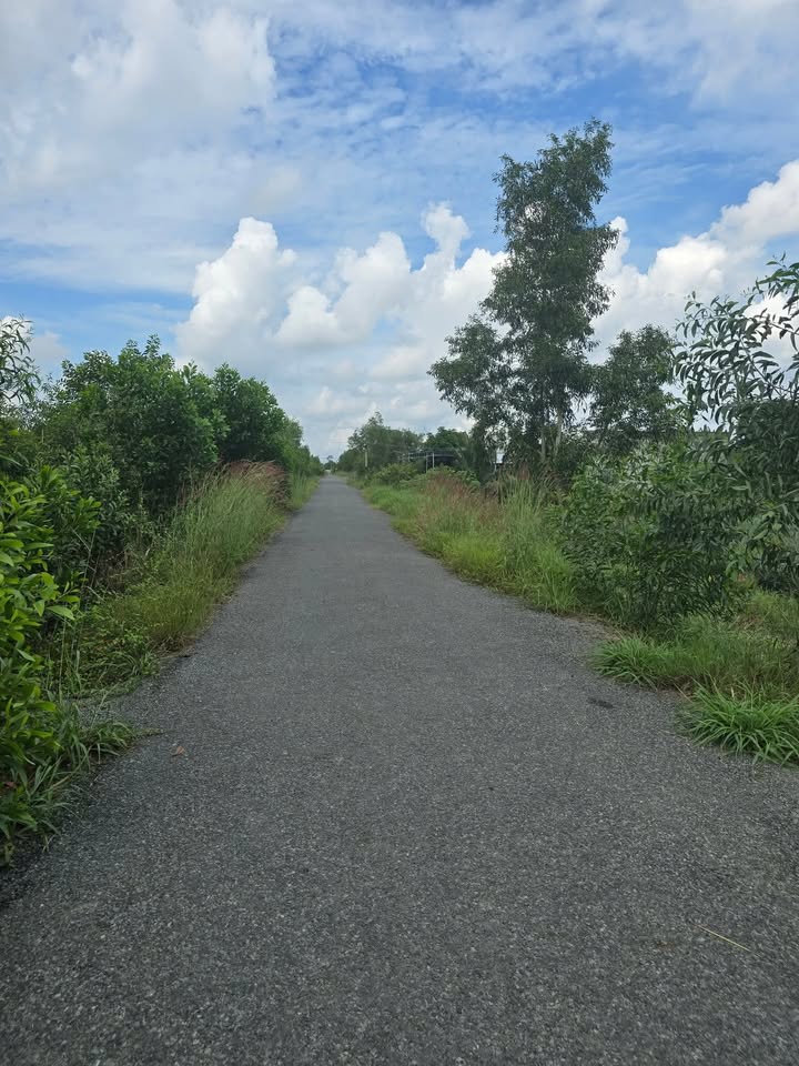 Đất mặt tiền đường Kênh Ông Địa, xã Tân Hòa Đông, 1710m² giá 600 triệu - Cơ hội đầu tư hấp dẫn!