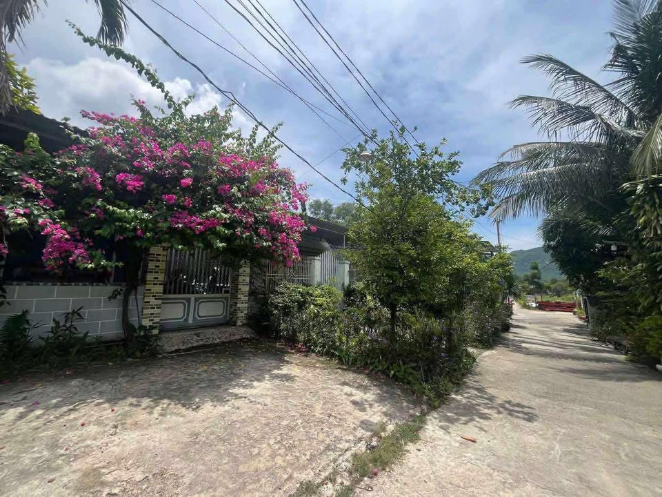 Đất nền Phước Đồng - Nha Trang 217m² giá 1.6 tỷ - Sổ đỏ chính chủ!