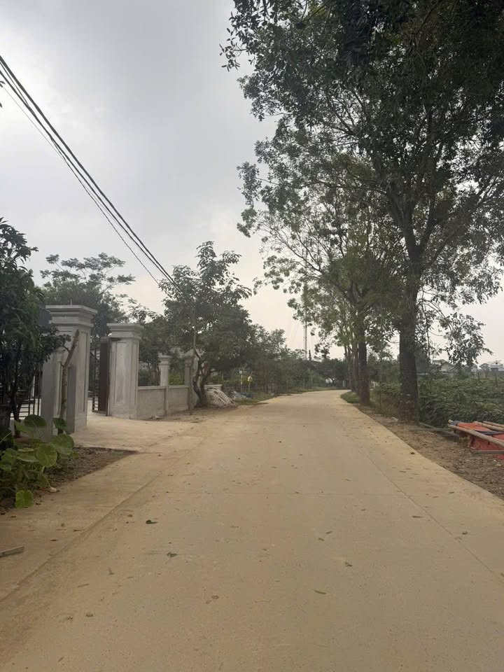 Đất thổ cư 330m² tại Yên Sơn, Tam Điệp - Giá chỉ 1.6 tỷ!