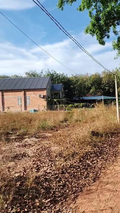 Đất nền Tân Phong, Tân Biên, Tây Ninh 185m² giá 260 triệu - Cơ hội đầu tư sinh lời!