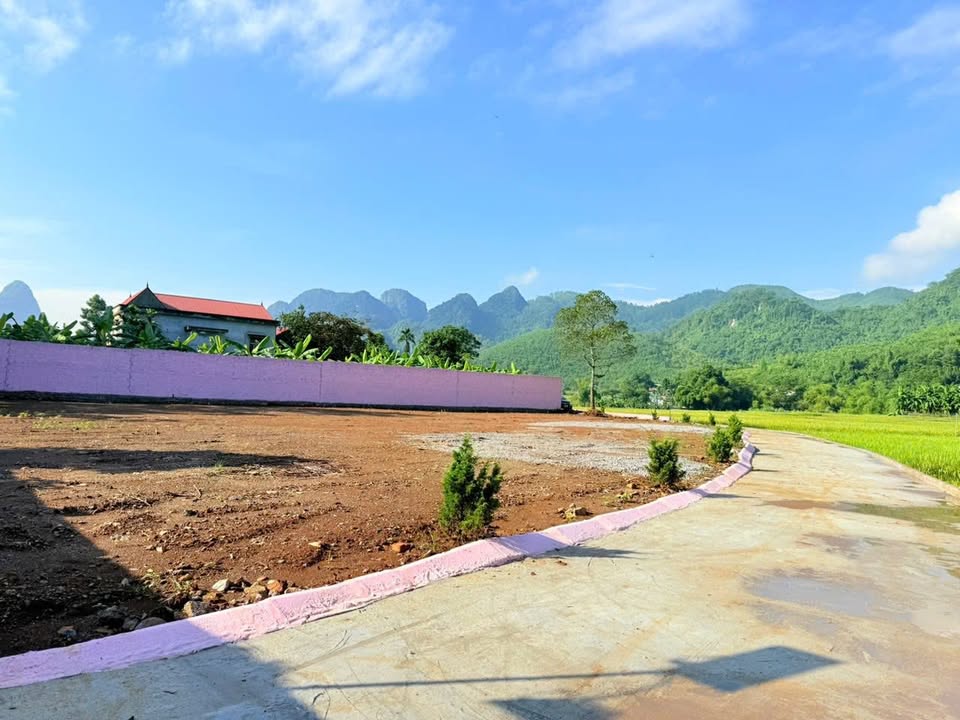 Đất thổ cư 1.100m² tại Thanh Sơn, Lương Sơn, Hòa Bình - Cơ hội đầu tư hiếm có!