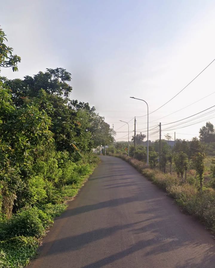 Đất Bàu Chinh, Châu Đức 4581m² giá 3 tỷ - Mặt tiền đường nhựa thuận tiện!