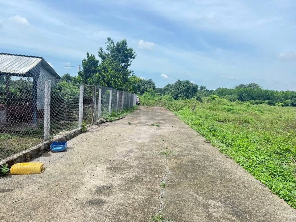 Đất Bàu Chinh Châu Đức 8000m² giá 1.2 tỷ - Cơ hội đầu tư tuyệt vời!