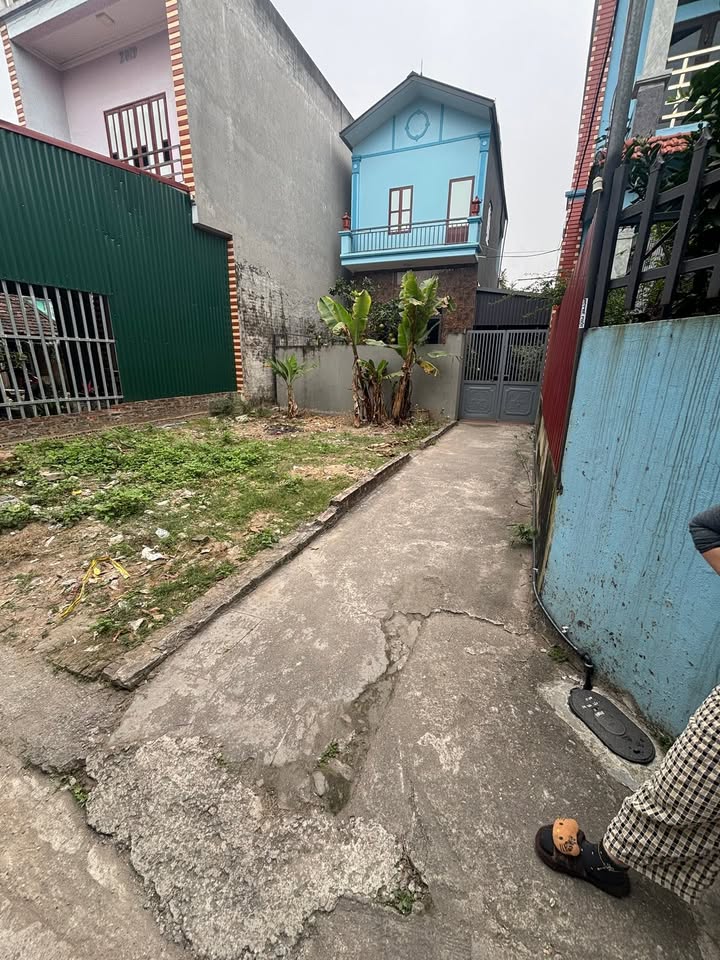 Đất lô góc Khánh Hà 42m² giá 3 tỷ - Sổ đỏ chính chủ, vị trí đẹp!