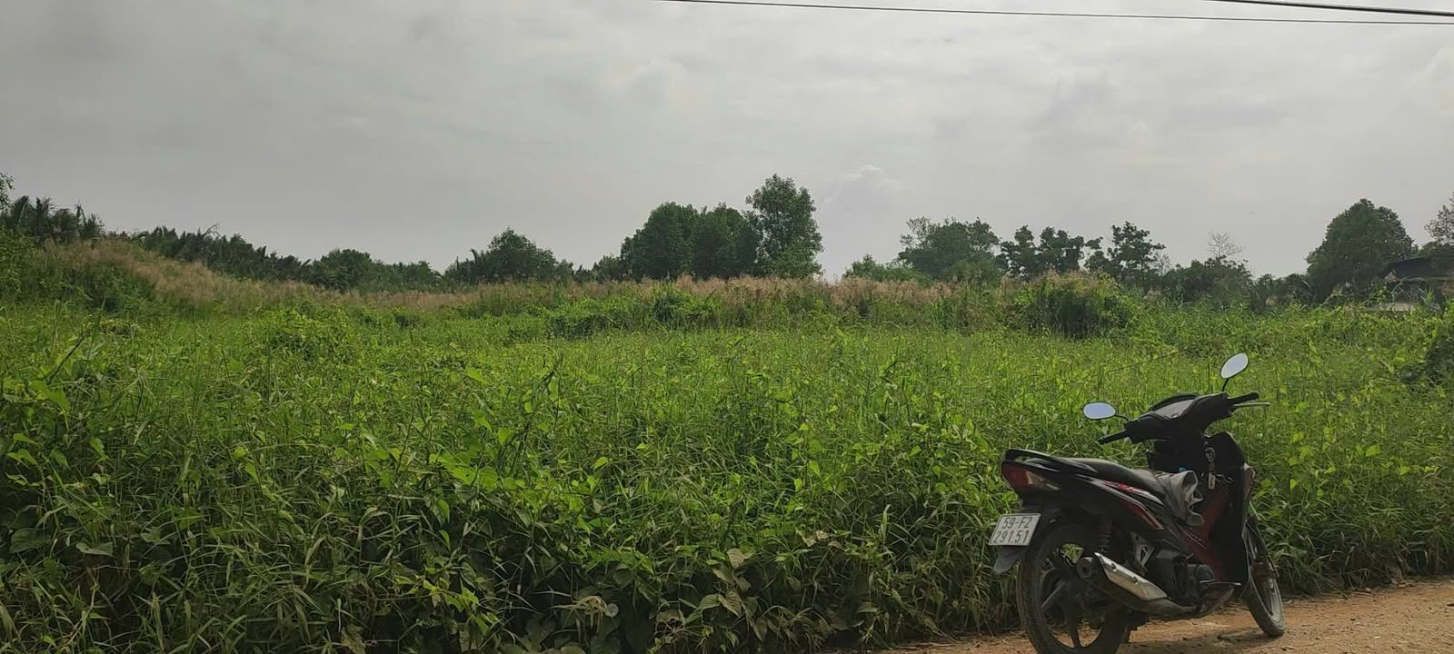 Đất mặt tiền đường Đê Trường Long, Cần Giuộc, Long An 8400m² - Phù hợp xây nhà xưởng!