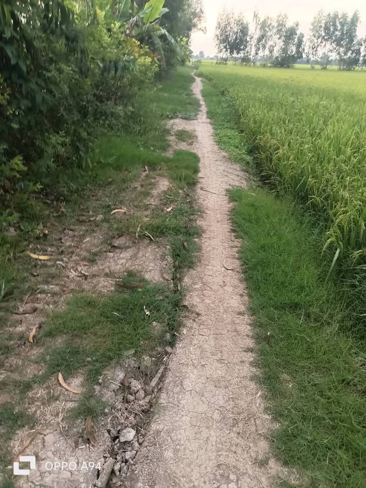 Đất nông nghiệp Tháp Mười 26.000m² giá 3.9 tỷ - Mặt tiền kênh thủy lợi