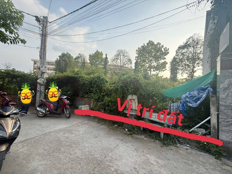 Đất nền Tân An 83m² giá 840 triệu - Gần Trường Chuyên Long An