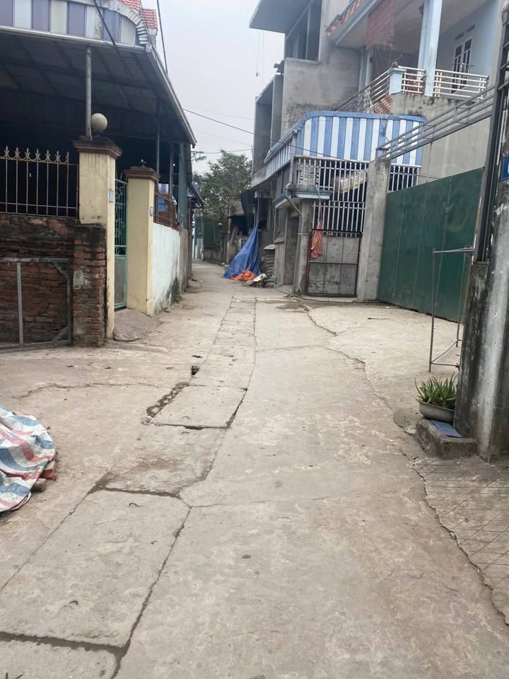 Đất Đồng Mai Hà Đông 83m² giá thỏa thuận - Mặt tiền 5.2m, vị trí đắc địa!