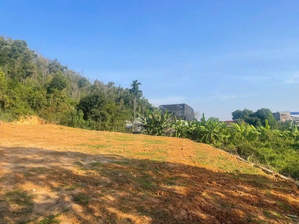 Lô đất 805m² tại xã Việt Khê, Thủy Nguyên, Hải Phòng - Giá chỉ 3,059 tỷ VND!