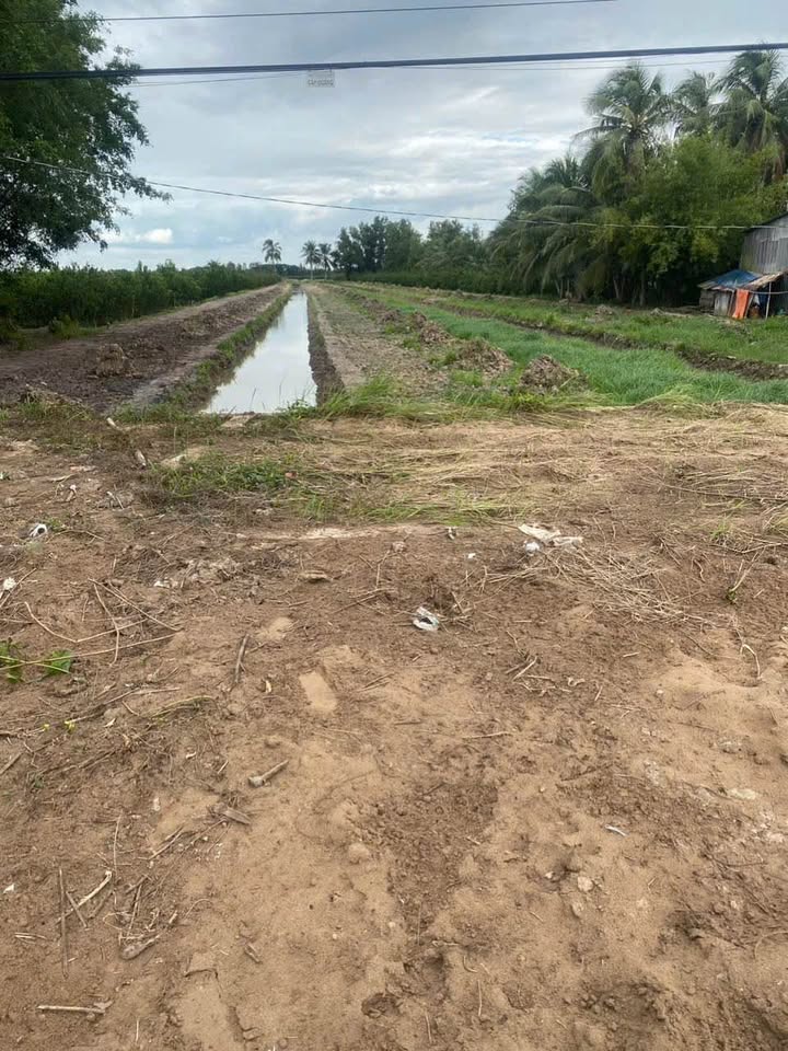 Đất mặt tiền đường 901, xã Thới Hòa, huyện Trà Ôn, 14.835m² - Giá chỉ 4.5 tỷ!