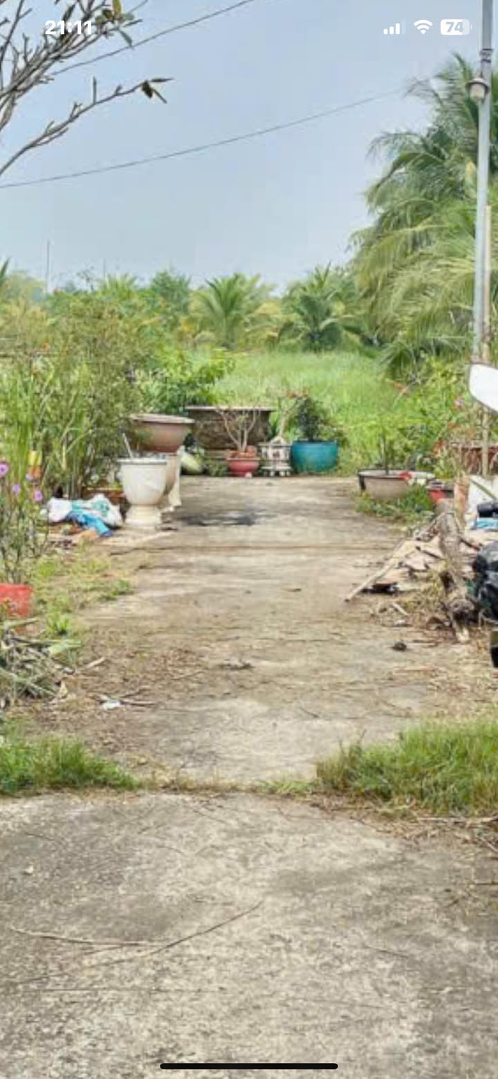 Đất nền Phú Hưng Bến Tre 100m² chỉ 320 triệu - Cơ hội đầu tư tuyệt vời!