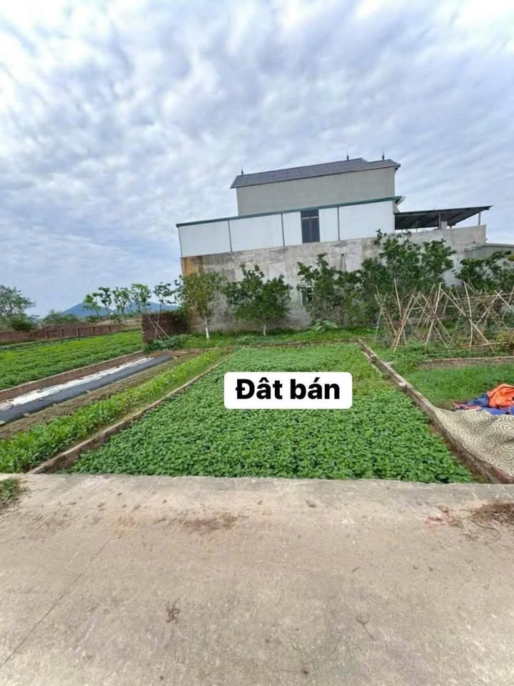 Đất thổ cư 47,7m² tại Bắc Thượng, Sóc Sơn - Giá chỉ 1.1 tỷ, sổ đỏ chính chủ!