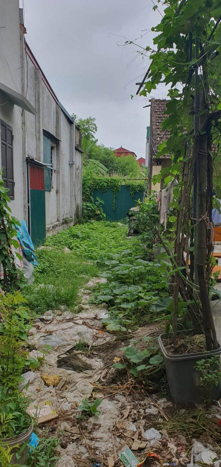 Đất thổ cư Tam Hưng Thanh Oai 438m² giá thỏa thuận - Sổ đỏ chính chủ!