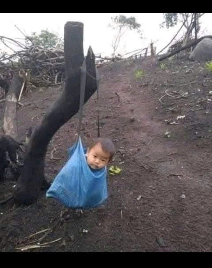 Căn hộ CCMN Phú Đô 97m² giá 23 tỷ - Đầu tư sinh lời 80 triệu/tháng!