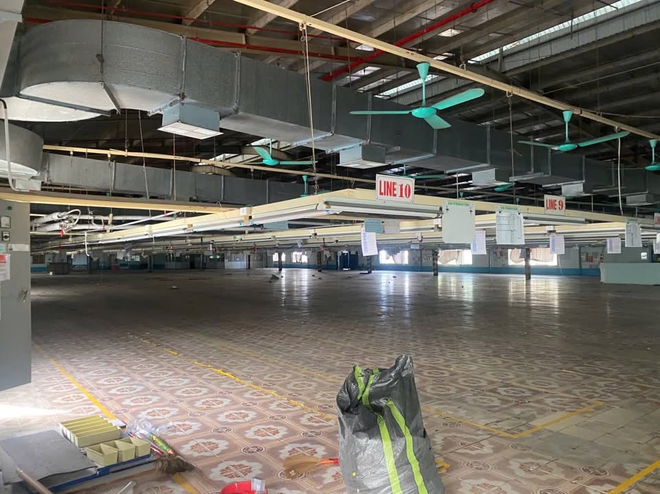 Cho thuê xưởng tiêu chuẩn xuất khẩu tại Bạch Sam - Hưng Yên 6000m² - Đáp ứng mọi nhu cầu sản xuất!