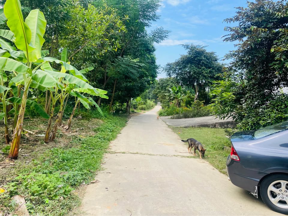 Nhà cấp 4 Tràng Đà 203m² giá 1.65 tỷ - Cần bán gấp chính chủ!