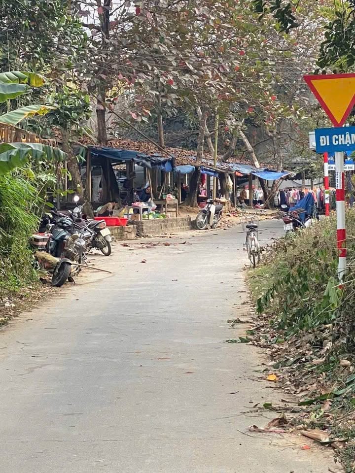 Đất thổ cư xóm 2 xã Tràng Đà 120m² giá 730 triệu - Vị trí thuận lợi gần chợ!