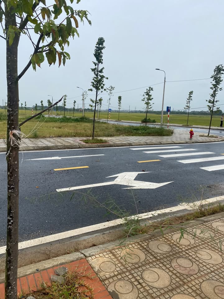 Đất đấu giá LK1-26 Thị trấn Lâm Thao 100m² giá 1.98 tỷ - Cơ hội đầu tư sinh lời cao!