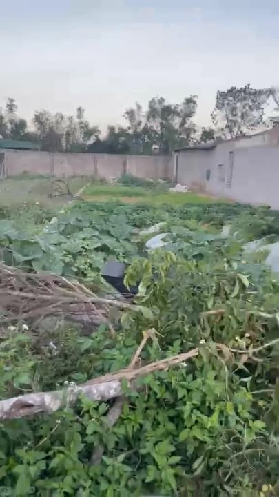 Nhà riêng Nghi Ân Vinh 145m² giá chỉ 1.9 tỷ - Đầu tư sinh lời ngay!