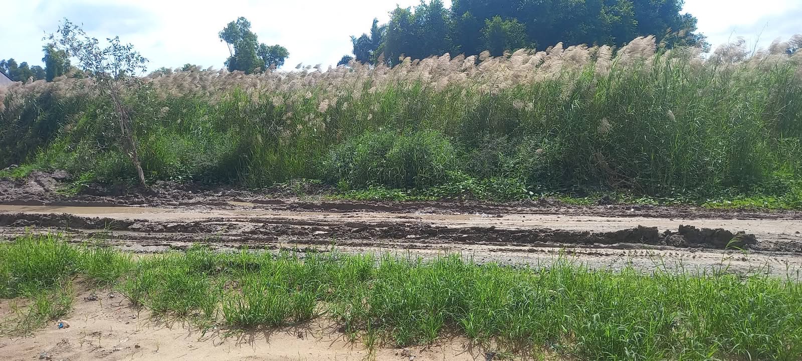 Đất mặt tiền Võ Trường Toản, Rạch Giá 410m² giá 2.8 tỷ - Cơ hội đầu tư tuyệt vời!