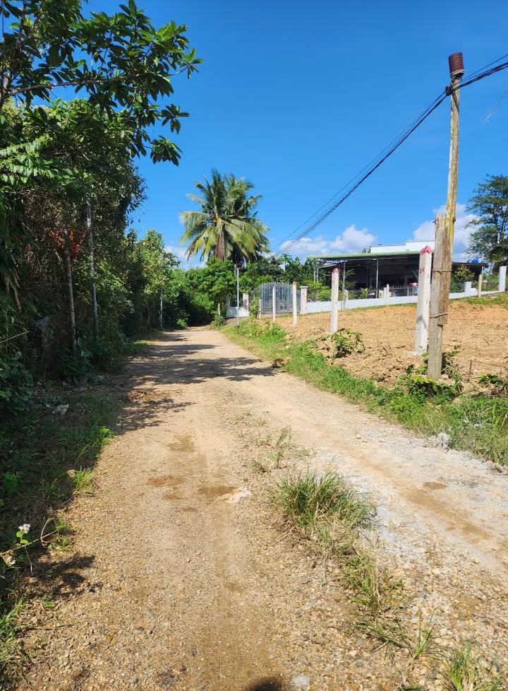 Đất nền Khánh Đông 104m² giá thỏa thuận - Cách đường TL8 chỉ 30m!