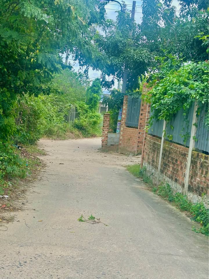 Đất thổ cư Cam Phúc Nam Cam Ranh 75m² giá 590 triệu - Sổ hồng chính chủ, sang tên dễ dàng!