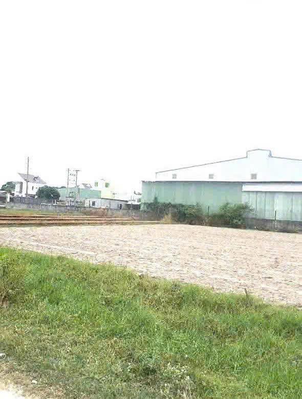 Đất thổ cư tại xã Mỹ Hạnh, huyện Đức Hòa, 297.5m² giá 1.9 tỷ - Cơ hội đầu tư tiềm năng!