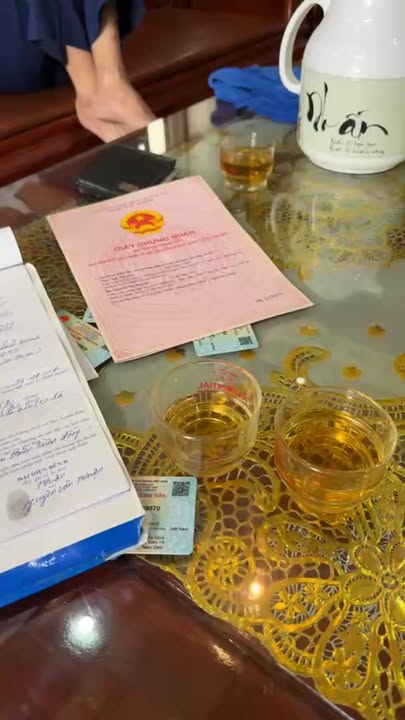 Đất nền Giao Xuân, Giao Thủy 1390m² - Cơ hội đầu tư vàng!