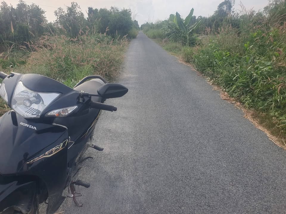 Đất nền 11 công Tân Hòa Đông 6.24 tỷ - Mặt tiền nhựa, đầu tư sinh lời!