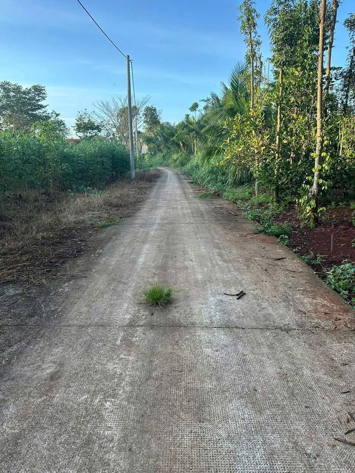 Đất nền xã Bình Giã, Châu Đức 350m² giá 1.36 tỷ - Vị trí trung tâm thuận tiện!