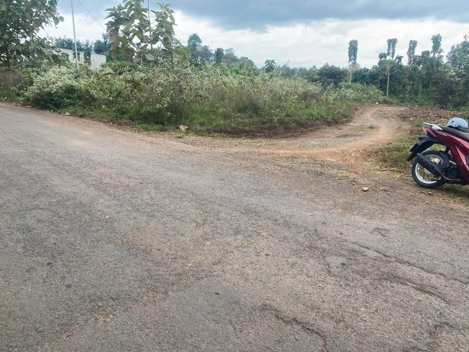 Đất nền Quảng Hiệp Cư M'gar 8000m² giá 1.4 tỷ - Đầu tư sinh lời cao!