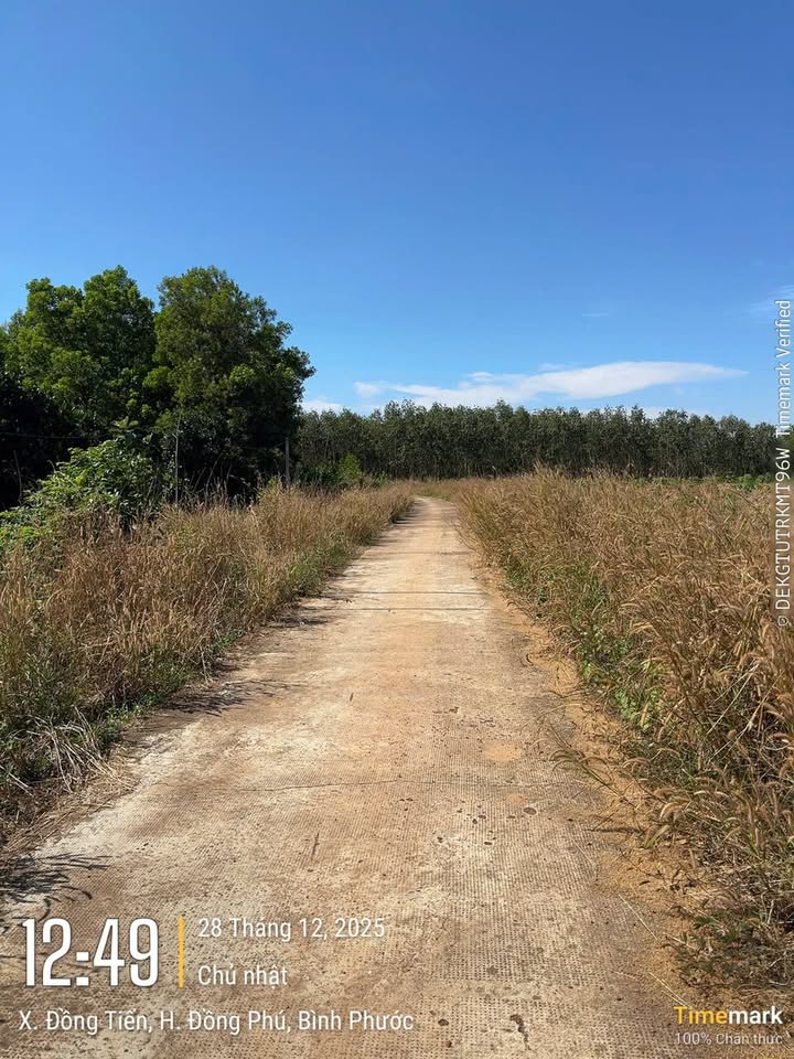 Lô đất ĐT 753 Tân Phú 1500m² giá 480 triệu - Cơ hội đầu tư tuyệt vời!