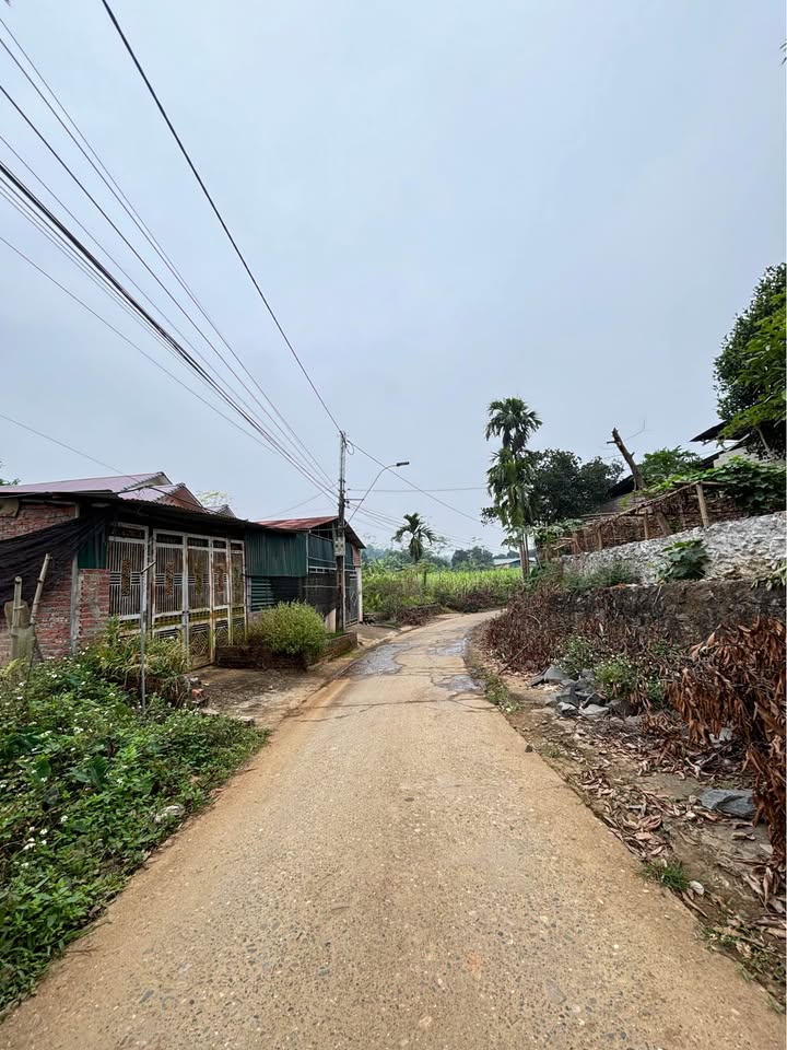 Đất thổ cư 200m² Thôn Tiến Cường, xã Thống Nhất giá 790 triệu - Sổ hồng chính chủ!