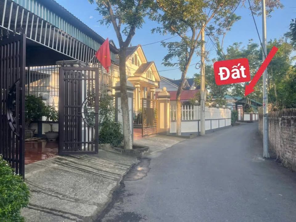 Đất tại Tam Quan 197m² - Cách chợ chỉ 100m, giá thỏa thuận!