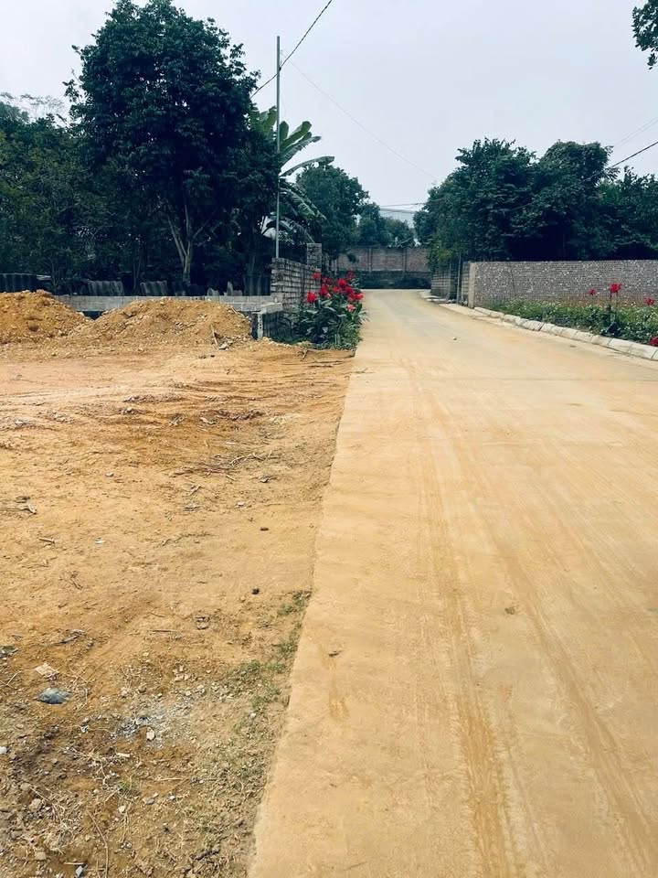 Đất nền Yên Bài, Ba Vì 720m² và 884m² - Giá hợp lý, tiềm năng sinh lời cao!