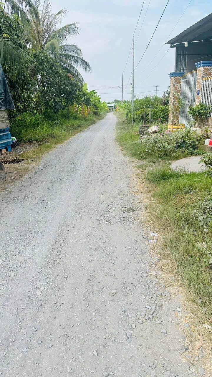 Nhà vườn mini Phường 6 Tân An 531.9m² giá 3.2 tỷ - Đầu tư sinh lời lý tưởng!