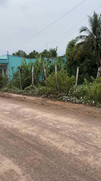 Đất thổ cư 1120m² tại Ấp 4, Phước Đông, Cần Đước - Giá chỉ 2.5 triệu/m², thương lượng ngay!