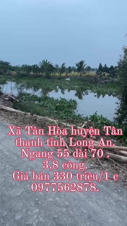 Đất nền xã Tân Hòa, huyện Tân Thạnh, Long An 13680m² - Giá chỉ 1.32 tỷ, sổ đỏ chính chủ!