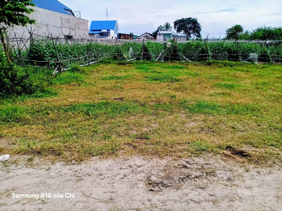 Đất nền Mỹ Hạnh Bắc, Đức Hòa 1650m² giá 5 tỷ - Sổ hồng chính chủ, giao thông thuận lợi!