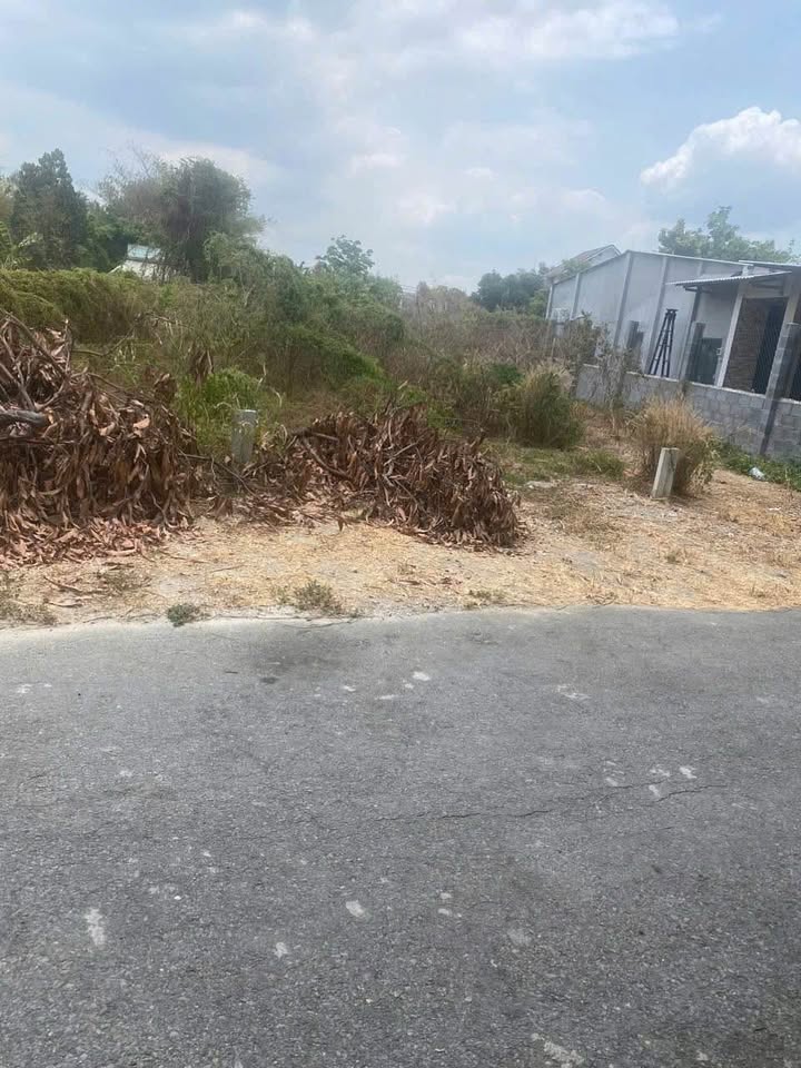 Đất nền đường Nguyễn Du, Trảng Bàng, Tây Ninh 147,2m² giá 800 triệu - Đầu tư sinh lời ngay!