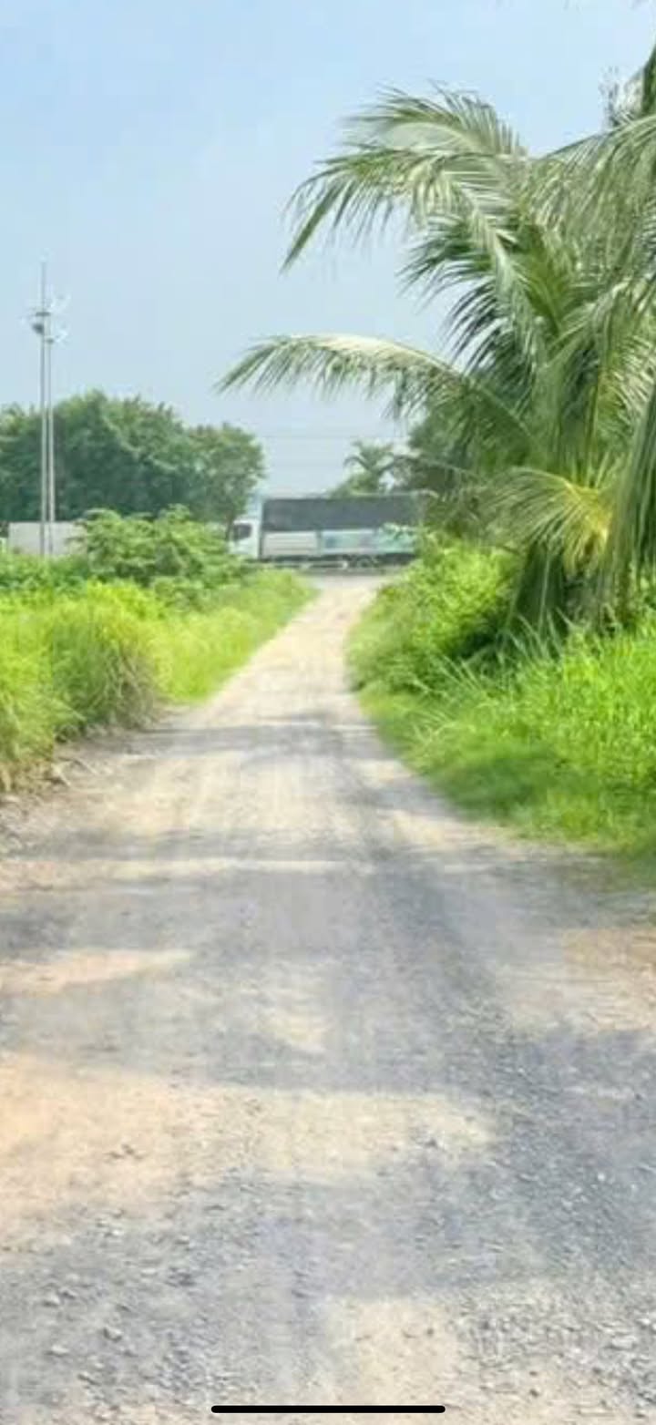 Đất lúa 3,776m² tại xã An Thạnh, Bến Lức - Giá 7.5 tỷ, Tiện ích vượt trội!