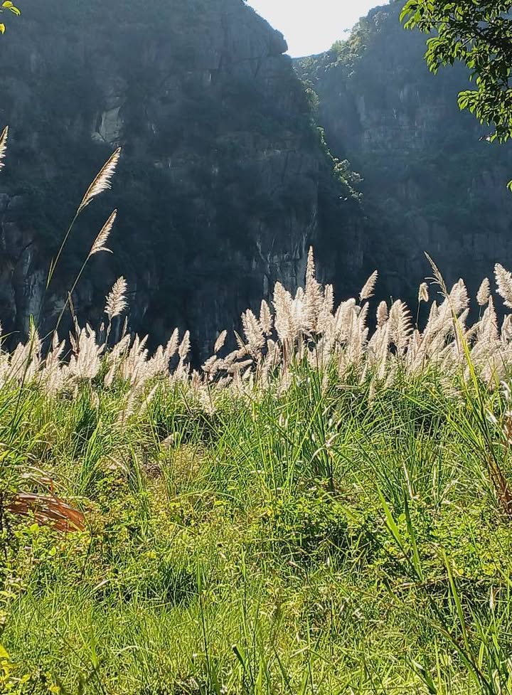 Đất nền Gia Trấn, Gia Viễn 103m² giá 2.9 tỷ - Mặt tiền rộng, vị trí đắc địa!