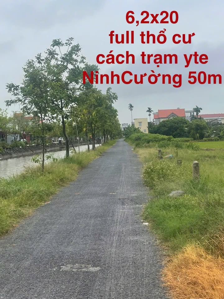 Đất thổ cư xã Ninh Cường, 124m² giá thỏa thuận - Vị trí đẹp, pháp lý rõ ràng!