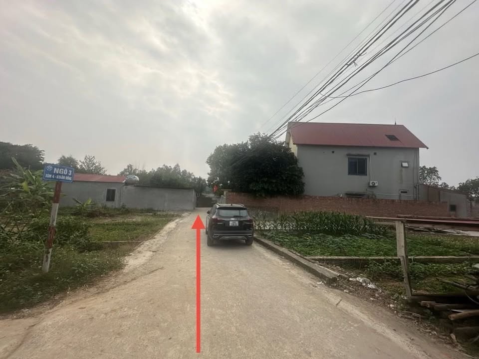 Đất thổ cư Tân Minh, Sóc Sơn 87m² giá 1 tỷ - Đường ô tô vào tận nơi!