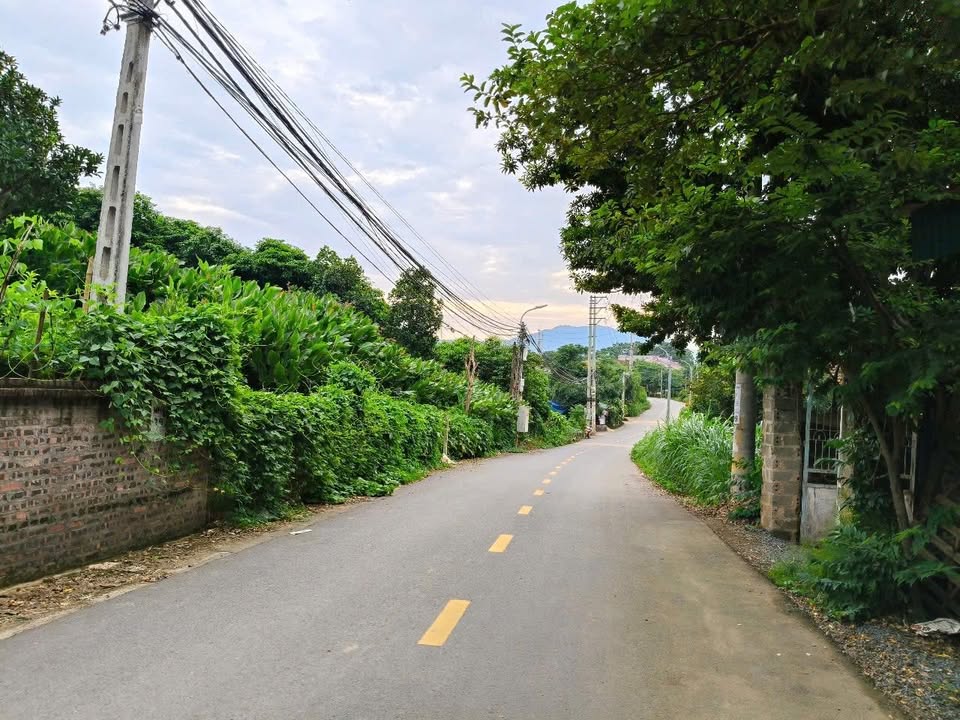 Đất mặt đường nhựa xã Ba Vì 300m² giá 1.1 tỷ - Cơ hội đầu tư hấp dẫn!