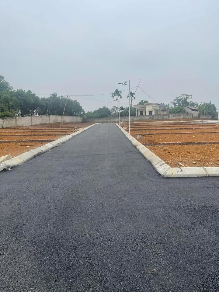 Đất nền Phú Thành Lạc Thủy 114m² giá chỉ 3xx triệu - Cơ hội đầu tư hiếm có!